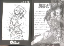 Page 4 of 桃色申告書 ver.MILLENNIUM FALCON