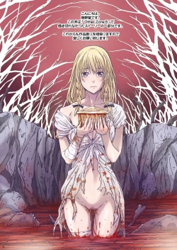 Page 14 of Other Zone next.01-06