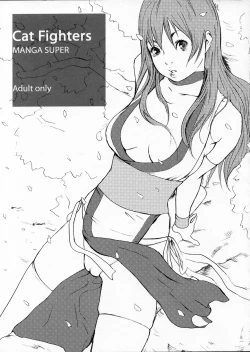 Page 1 of Cat Fighters