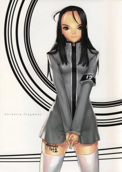 Page 1 of Parhelia Flagment flag2