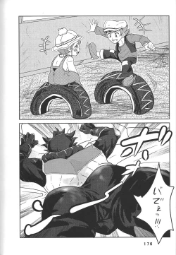 Page 176 of BIRD&BEE