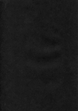 Page 2 of BLEAT BLIP EVERY TRIP