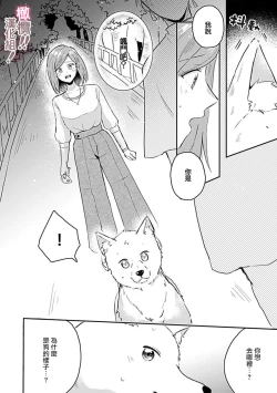 Page 141 of osuwari! Mate! Namecha dame! ! Zen kōtei04｜坐下！等待！那个不能舔！！被全肯定系小狗猛烈求爱~01-04话