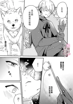 Page 53 of osuwari! Mate! Namecha dame! ! Zen kōtei04｜坐下！等待！那个不能舔！！被全肯定系小狗猛烈求爱~01-04话