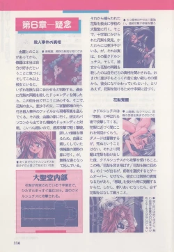 Page 119 of Official Alicesoft Full Completion Guide