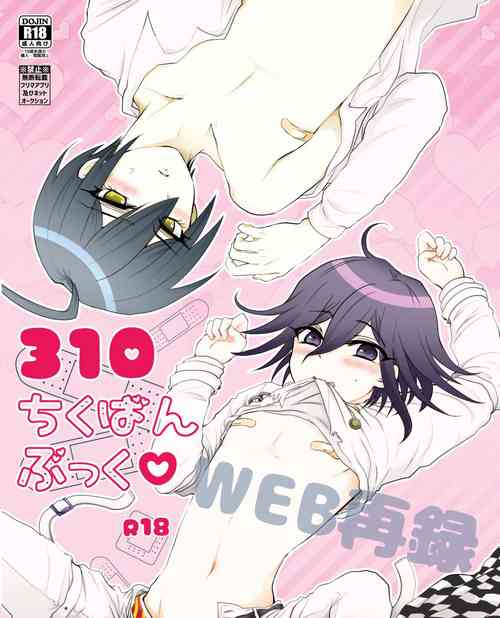 Download 310 Chikuban Book