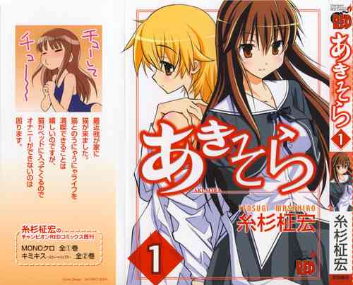 Download Aki Sora - Volume 1