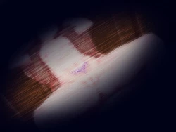 Page 195 of Yume no sekai de kae rarete