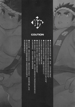 Page 6 of CHOGOKIN-002