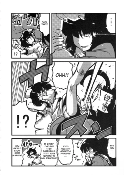 Page 14 of Eirin Yume Mousou