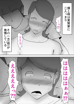 Page 16 of Kaa-san ga Assari Boku ni Ochita Hi