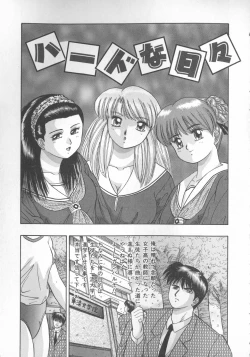 Page 26 of Himerareta Koukishin