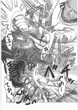 Page 17 of Shokuroku