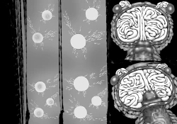 Page 174 of FUSION WARSchapter 1, section 6