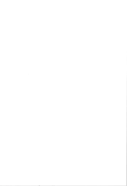 Page 2 of TS Mesugaki Aniki o Wakarasetai