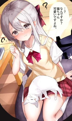 Page 212 of Imouto ga 1kai shika Me o Awasete kurenai