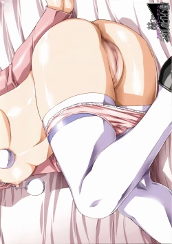 Page 4 of ああっ…うるわしのヒロイン達!! ポスター