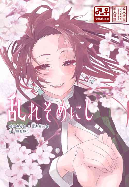 Download Midare Some Nishi