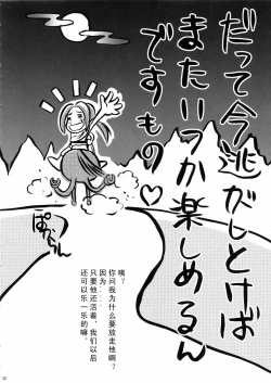 Page 30 of In Sangoku Musou 3