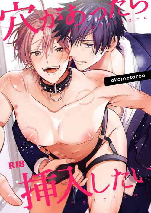 Download Ana ga Attara Hairitai | 你有穴我想插