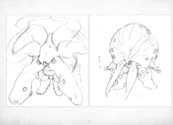 Page 494 of ALICESOFT ORION SCRIBBLES with CROQUIS ULTIMATE EDITION VOL.3 織音計画特別版  ラフ画集