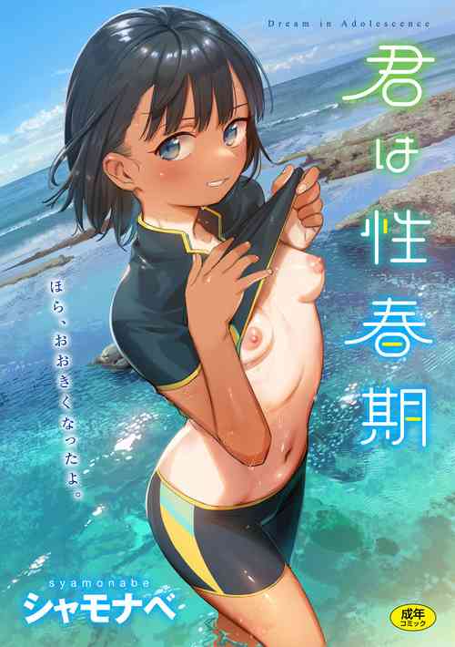 Download Kimi wa Seishunki - Dream in Adolescence