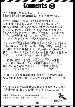 Page 24 of RED MUFFLER M