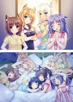 Page 10 of NEKOPARA ART WORKS Vol.0