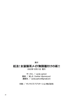 Page 21 of Ninpou! Josou Nekomimi Maid Mugen Tanetsuke no Jutsu!! | Ninja Impregnation Art: Infinite Crossdressing Nekomimi Breeding Technique!