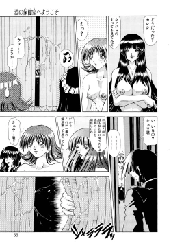 Page 54 of Mugen Kaisou - Phantom Recollection