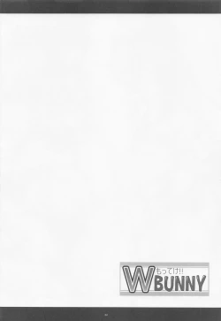 Page 3 of Motteke!! W BUNNY