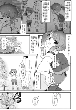 Page 5 of Rainy Season Butterfly