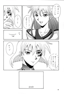 Page 17 of R25 Vol.5 V.D.S