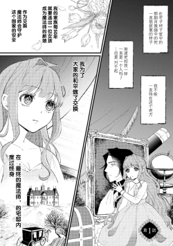 Page 3 of Mahoutsukai ni Miirarete | 被魔法使所魅惑 1