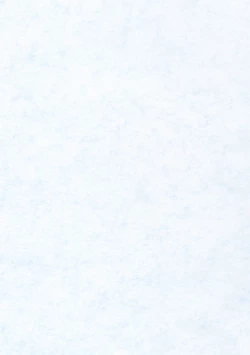 Page 2 of Thank you My Platinum lights