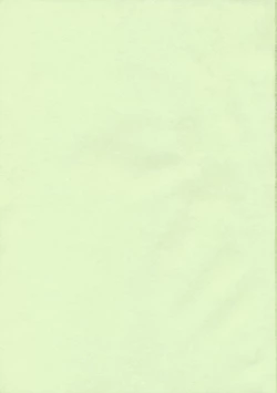 Page 2 of Fairy Trap