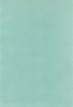 Page 4 of Nacchan de Night