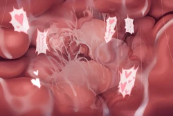 Page 73 of My Favs of ANA.L MK.II