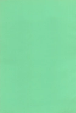 Page 37 of ChaChaCha World