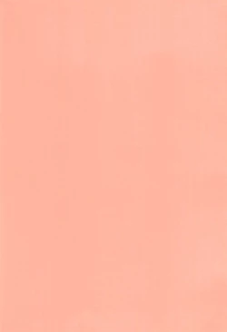 Page 21 of TWINKLE☆PRINCESS