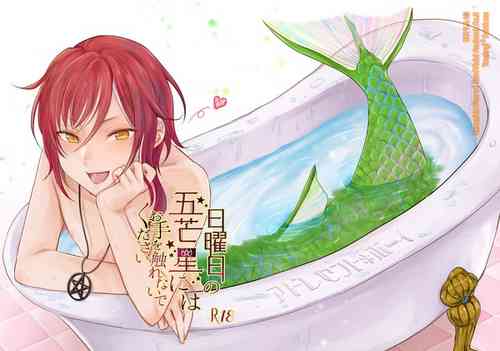 Download Nichiyoubi no Gobousei ni wa Ote o Furenaide kudasai