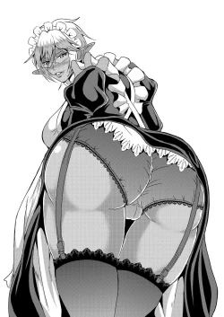 Page 257 of Elf Harem Monogatari - Elf Harem Story