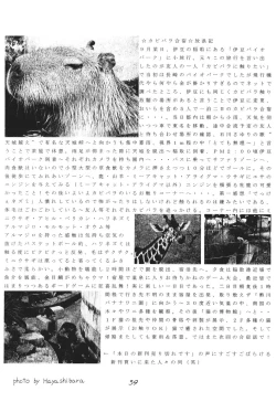 Page 40 of Kanojo wa Henshuukyou | The Girl is Obsessed