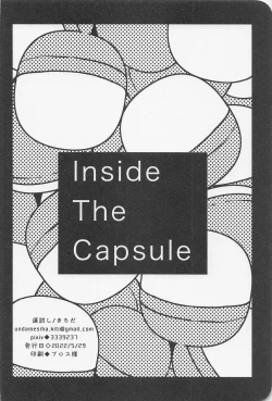 Page 33 of Inside The Capsule