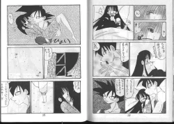 Page 14 of Dragonball for adult