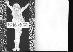 Page 2 of Dragonball for adult