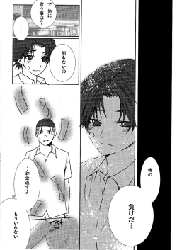 Page 19 of Hummingbird