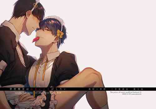 Download Yukimura Seiichi wa Warui Koto ga Shitai