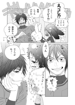 Page 36 of Usagi no Hon