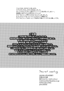 Page 3 of Secret meeting